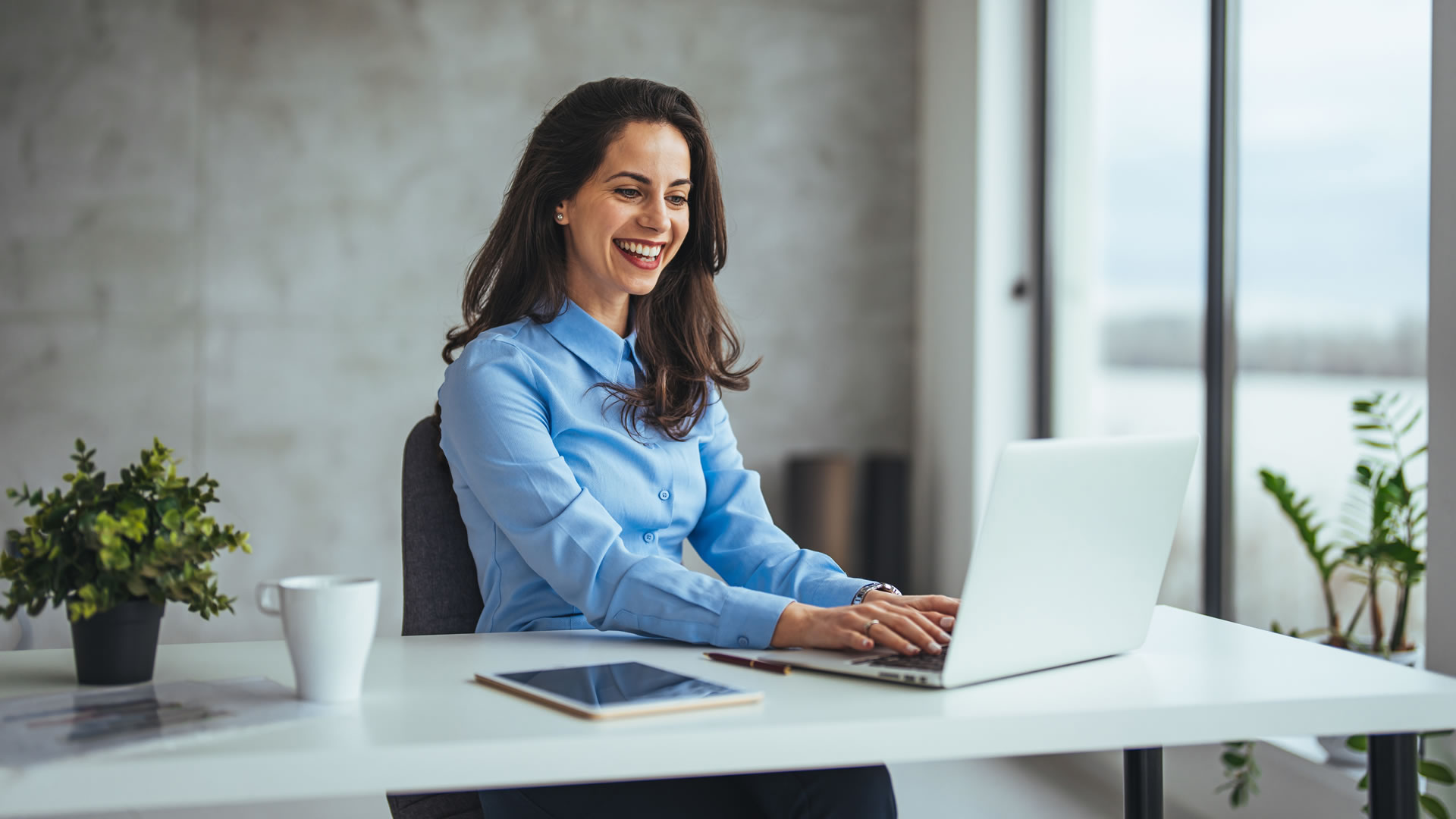 5. Apresentação e Treinamento