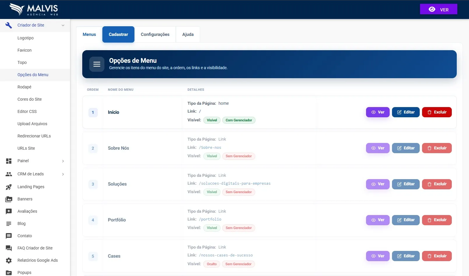 Tela de opções de menu no Criador de Sites Malvis, mostrando a lista de itens com ordem, nome, detalhes e os botões ver, editar e excluir